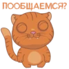 NOCKWARMER