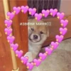 Любовные пикчи @colored_emotions 21