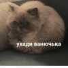 Стикеры @stickrubot @textmeru_bot 9