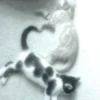 Meow kitty’s 22