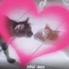 Meow kitty’s 23