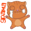 O P