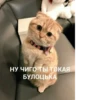 Стикеры @stickrubot @textmeru_bot 12