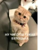Стикеры @stickrubot @textmeru_bot 13
