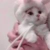 Meow kitty’s 27