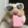 happy_dogs 5
