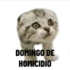 DOMINGO DE HOMICIDIO