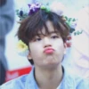 StrayKids 5