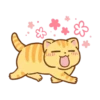 Orange cat @tgsticker 8