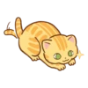 Orange cat @tgsticker 9
