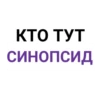 КТО ТУТ СИНОПСИД
