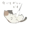𓆩  .ㅤ۫    . @softsticks ֹ.ㅤ۫    .  𓆪  11