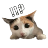 СТИКИ ➡️ @SOFTSTICKS 19