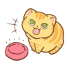 Orange cat @tgsticker 15