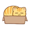 Orange cat @tgsticker 19