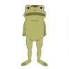 OtGW_frog 8