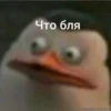 Стики 0839 из @Anonymnyi_chat_bot 21