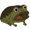 OtGW_frog 9