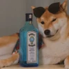 happy_dogs 21