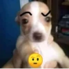 nose 20