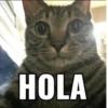 HOLA