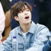 StrayKids 29