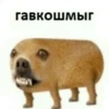 Стики 0839 из @Anonymnyi_chat_bot 26