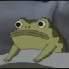 OtGW_frog 15