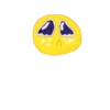 created by @katalog_stik_bot 30