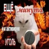 meow 5