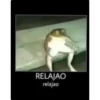 animales 9
