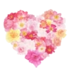New heart 6