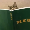 meow 8