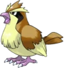 Pokemon 10