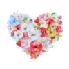 New heart 7