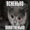 meow 14
