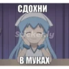 Animeshka 11