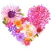 New heart 14