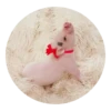 Pig 15