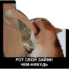 Питер Family 8