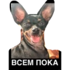 Питер Family 10