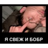 Питер Family 12
