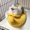 meow 22