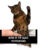 Питер Family 15