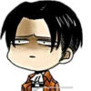 LEVI 6