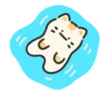 Jelly cat cheese! | 5