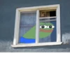 Pepe Gourmet 7