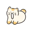 Jelly cat cheese! | 9