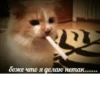 meow 9