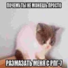 meow 12